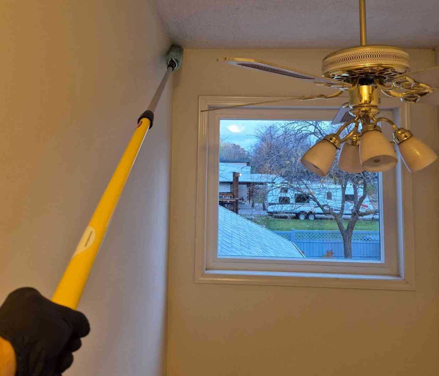 Utopian Cleaning Kelowna getting the cobwebs with the right equipment
